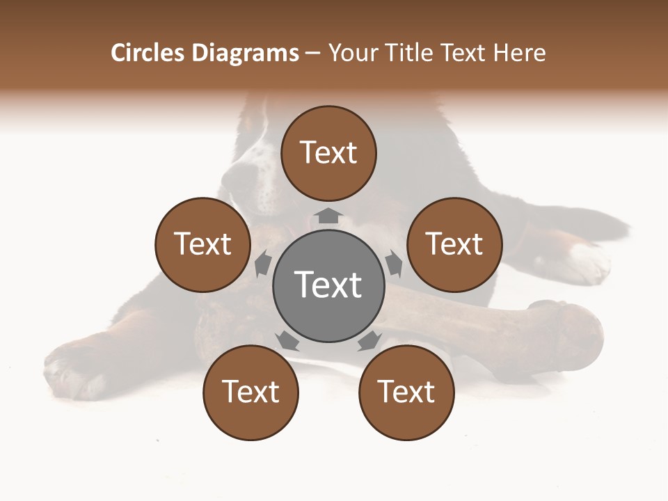 Space Purebred Mammal PowerPoint Template