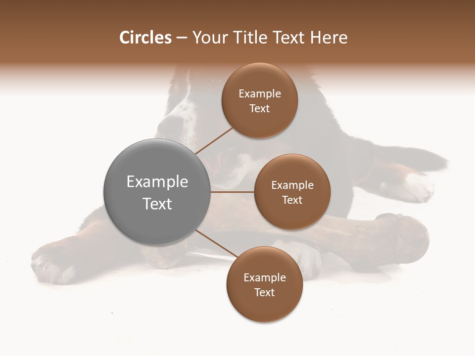 Space Purebred Mammal PowerPoint Template