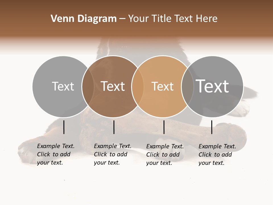 Space Purebred Mammal PowerPoint Template