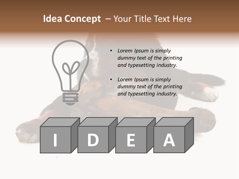 Space Purebred Mammal PowerPoint Template