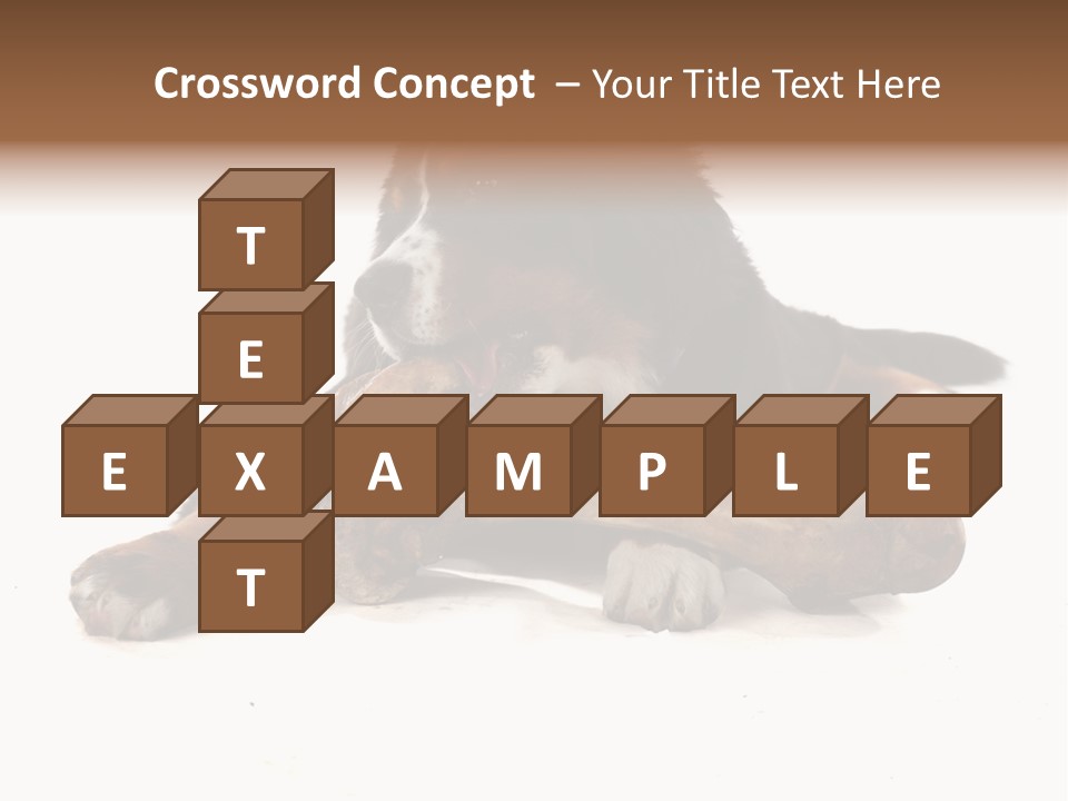 Space Purebred Mammal PowerPoint Template