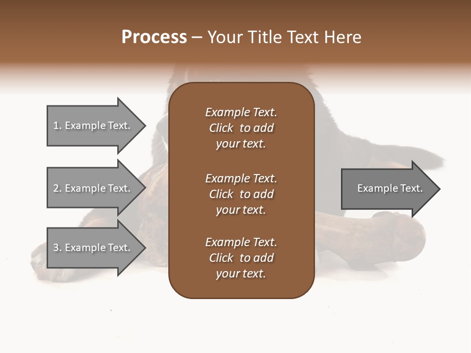 Space Purebred Mammal PowerPoint Template