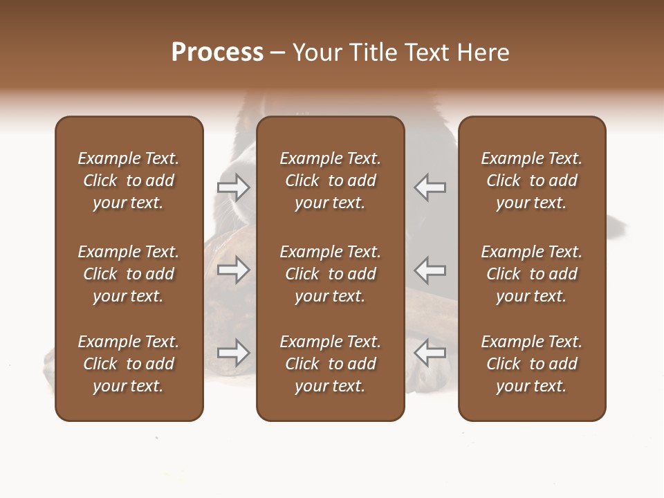 Space Purebred Mammal PowerPoint Template
