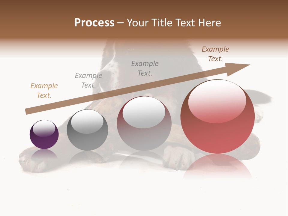 Space Purebred Mammal PowerPoint Template