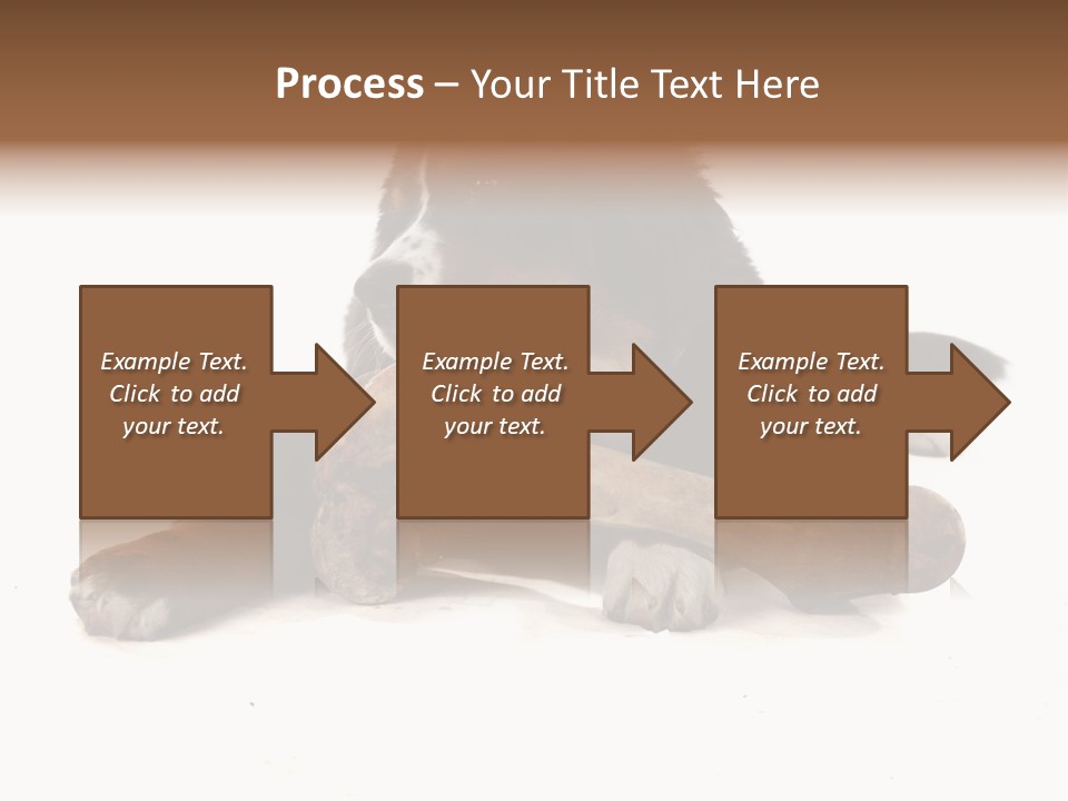 Space Purebred Mammal PowerPoint Template