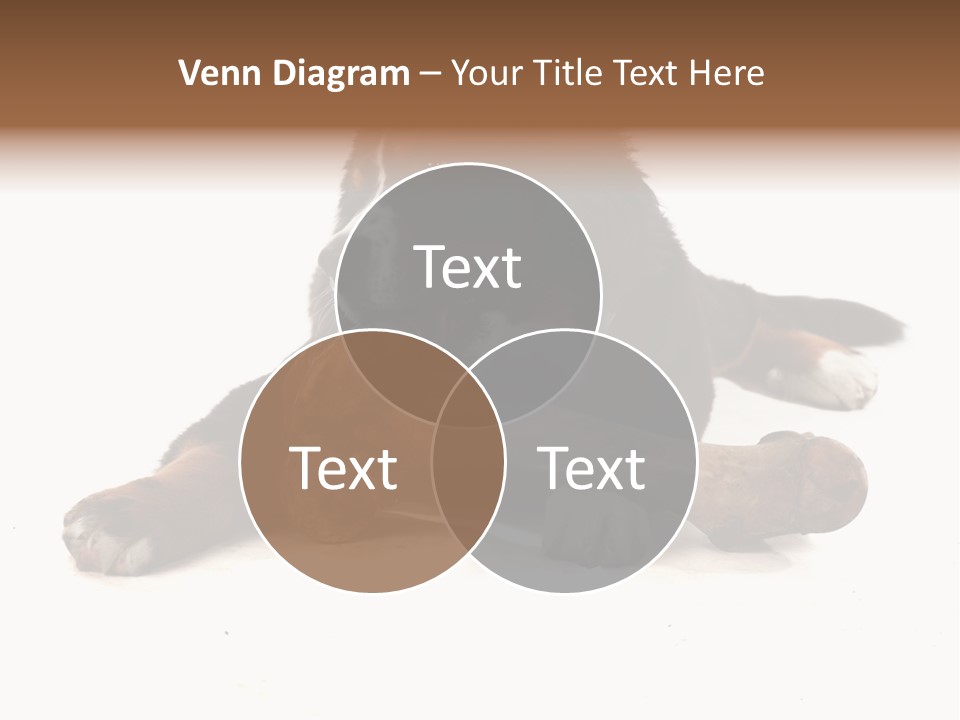 Space Purebred Mammal PowerPoint Template