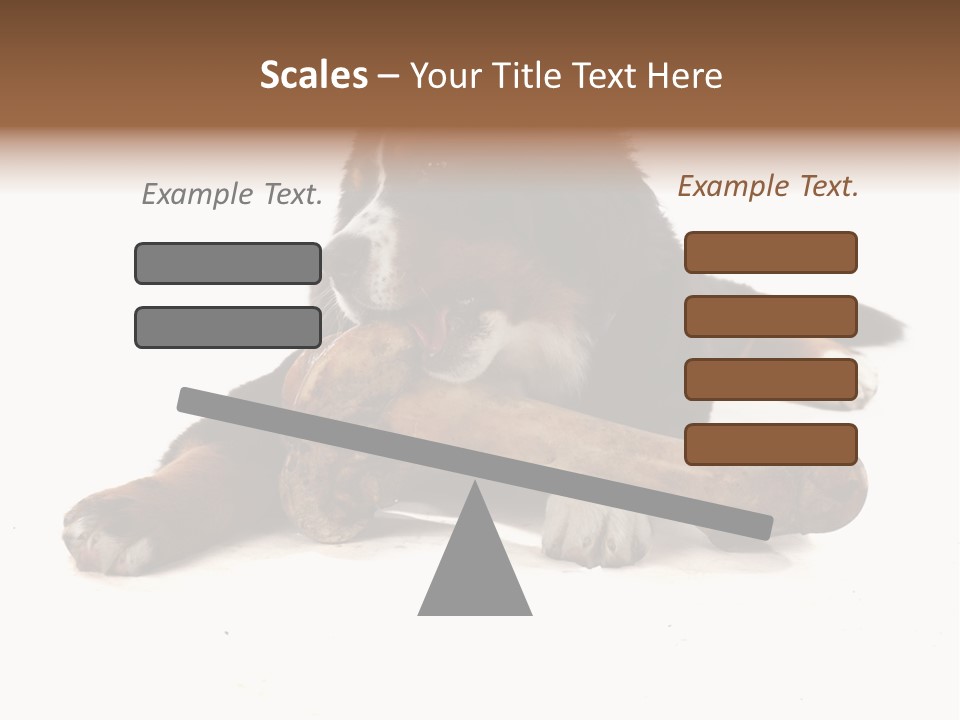 Space Purebred Mammal PowerPoint Template