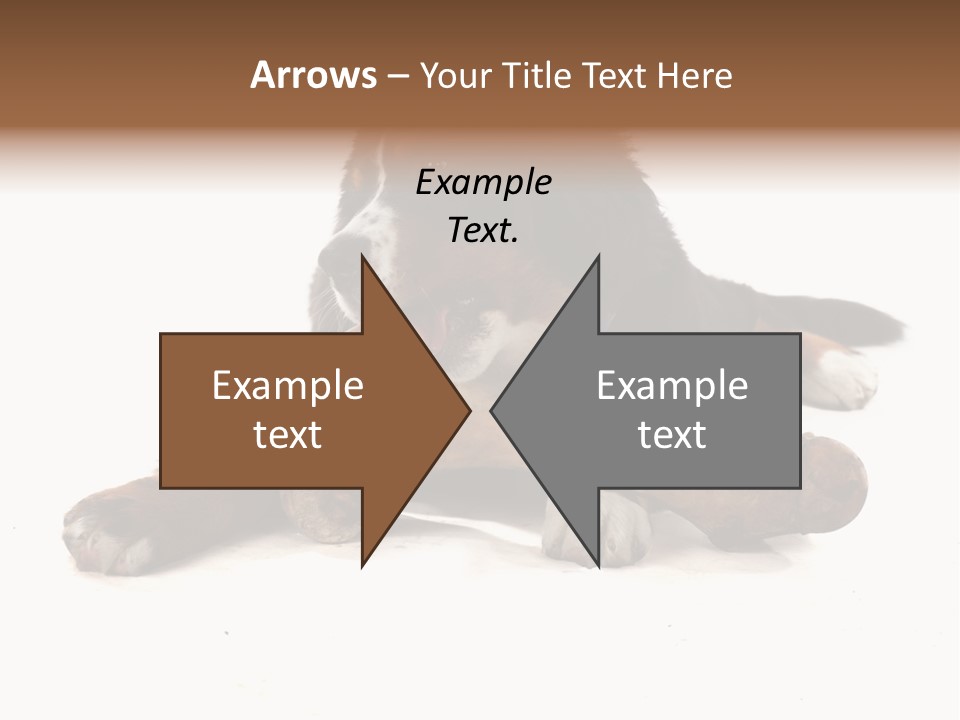 Space Purebred Mammal PowerPoint Template