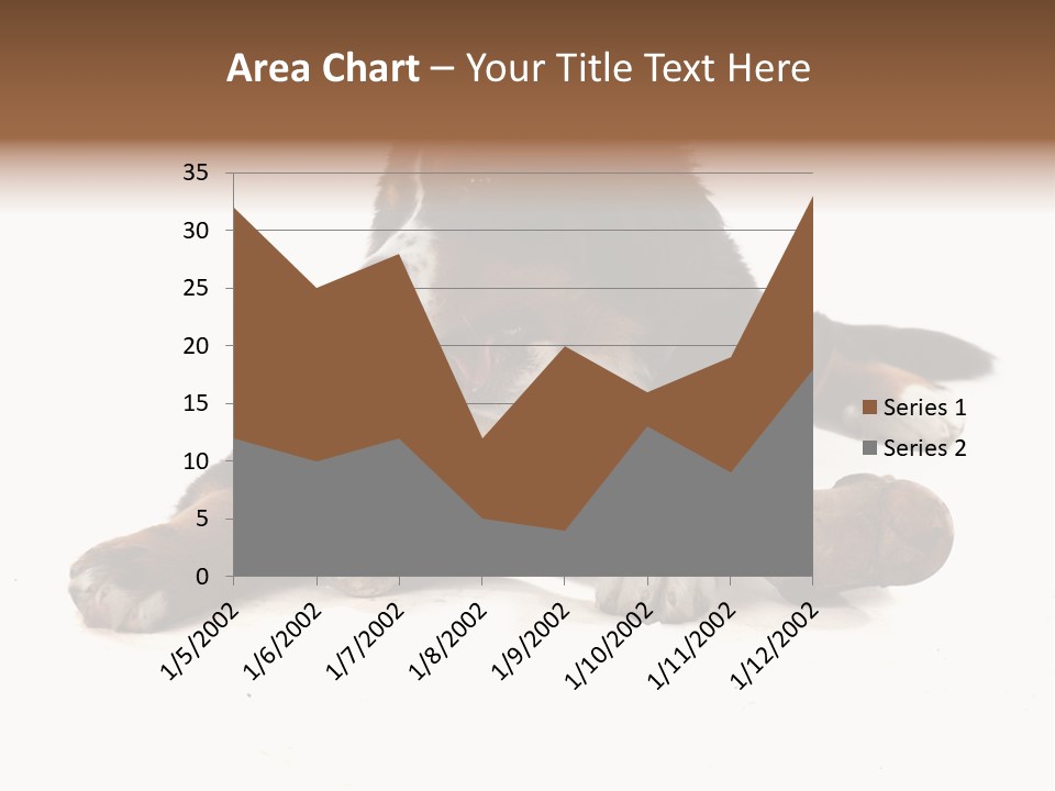 Space Purebred Mammal PowerPoint Template