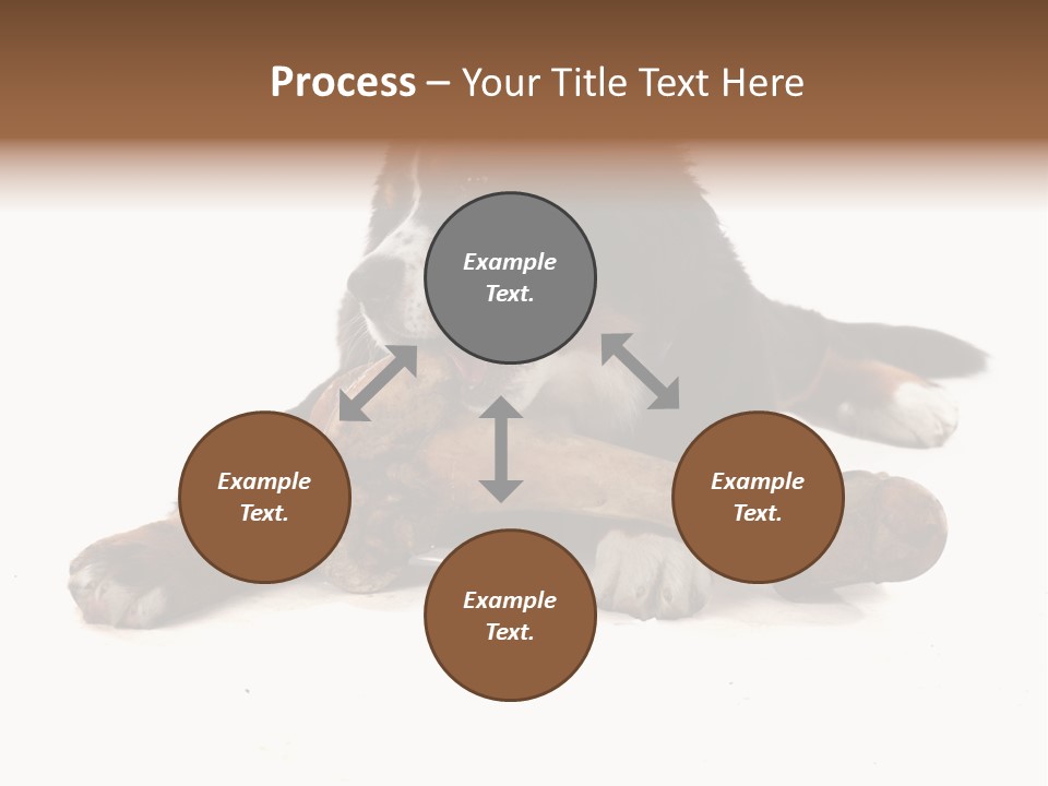 Space Purebred Mammal PowerPoint Template