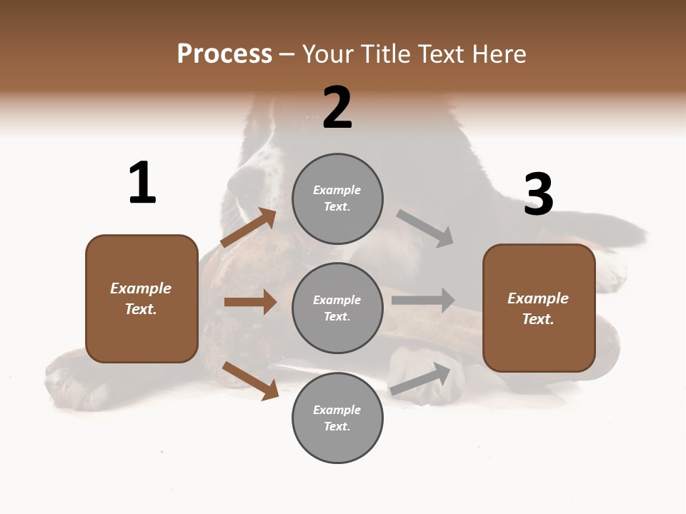 Space Purebred Mammal PowerPoint Template
