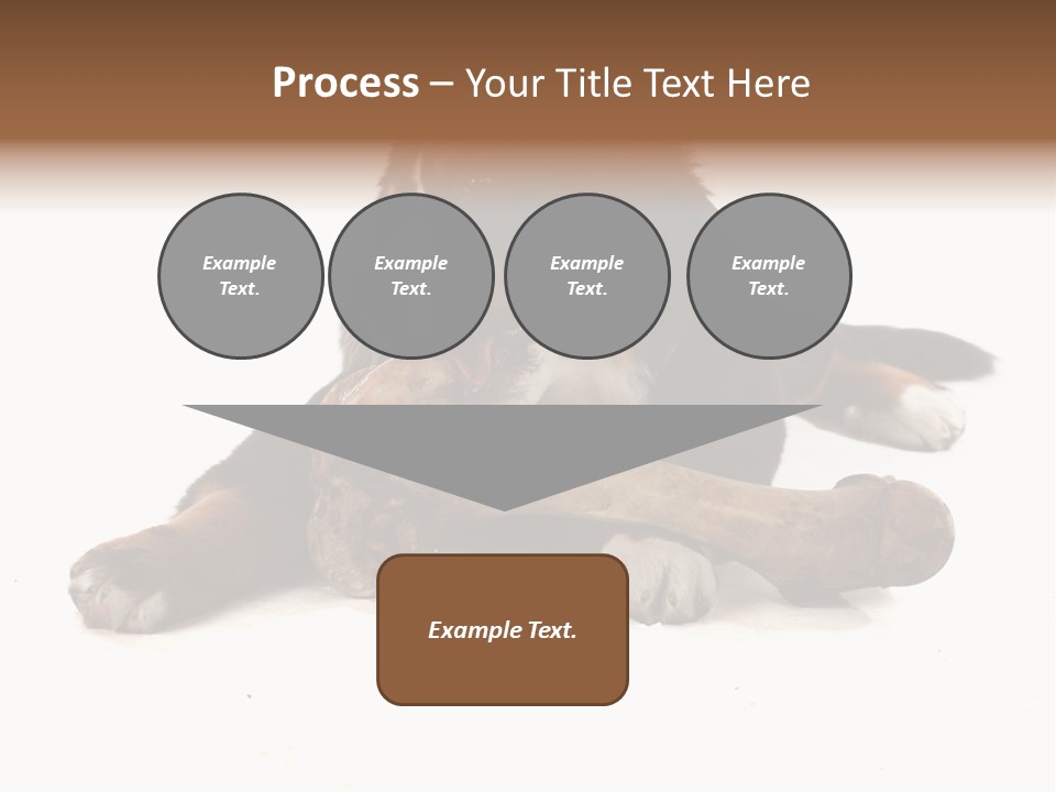 Space Purebred Mammal PowerPoint Template