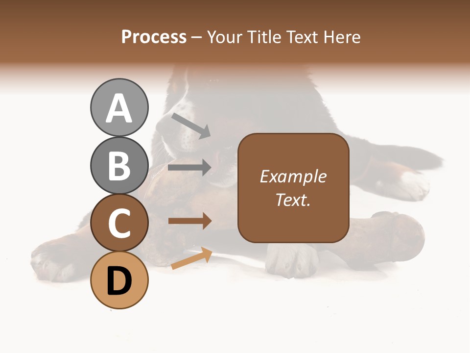 Space Purebred Mammal PowerPoint Template