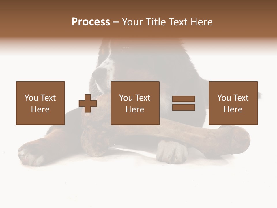 Space Purebred Mammal PowerPoint Template