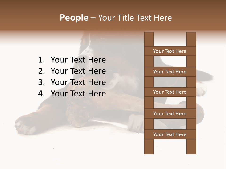 Space Purebred Mammal PowerPoint Template