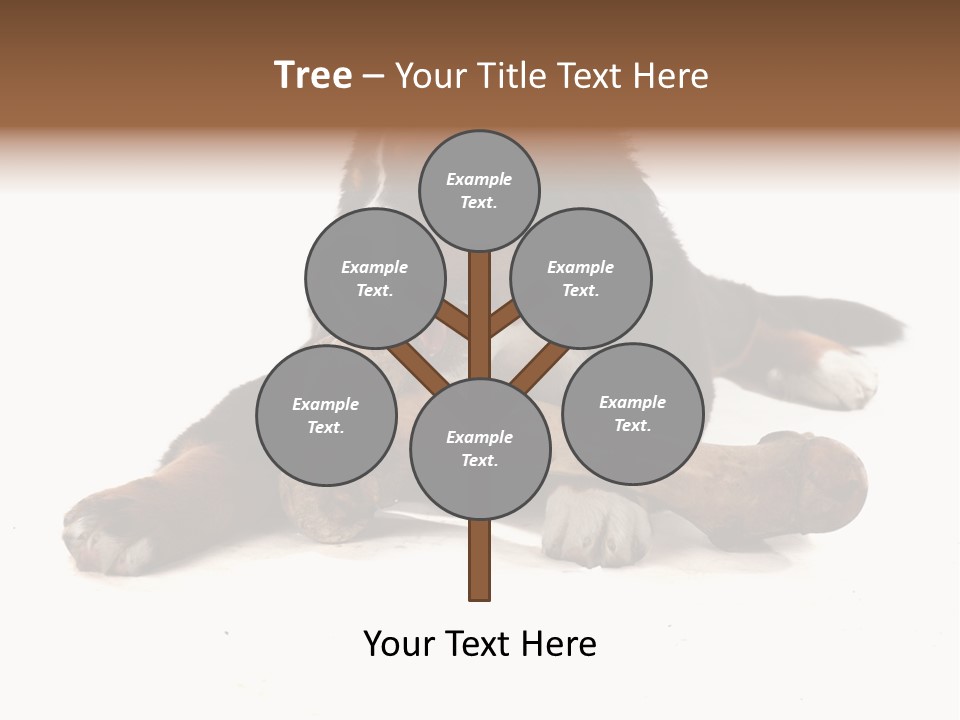 Space Purebred Mammal PowerPoint Template