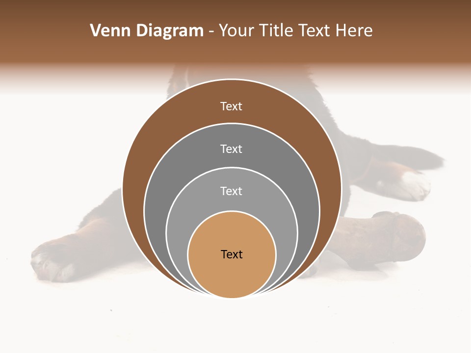 Space Purebred Mammal PowerPoint Template