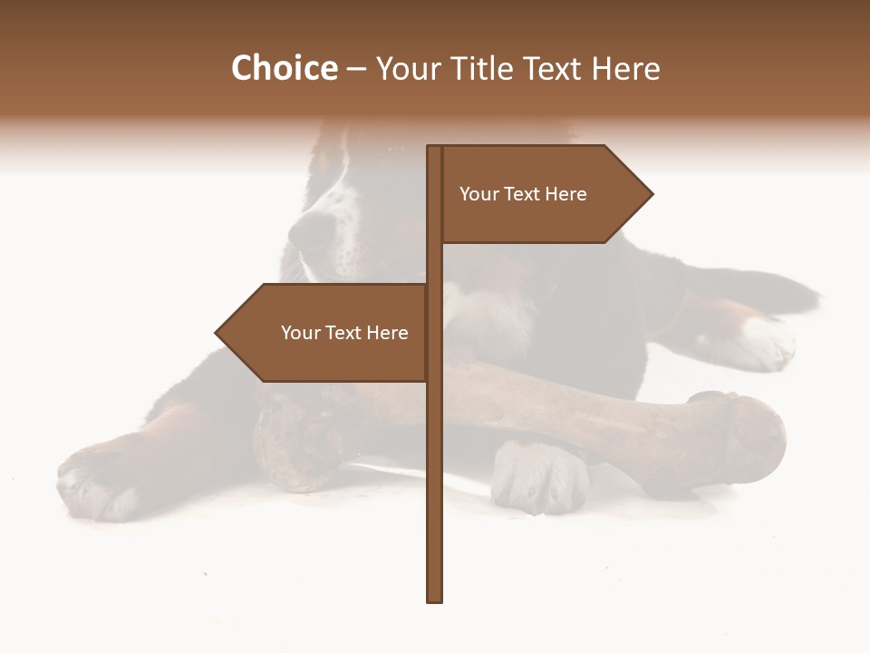 Space Purebred Mammal PowerPoint Template