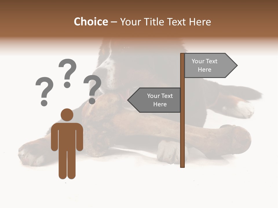 Space Purebred Mammal PowerPoint Template