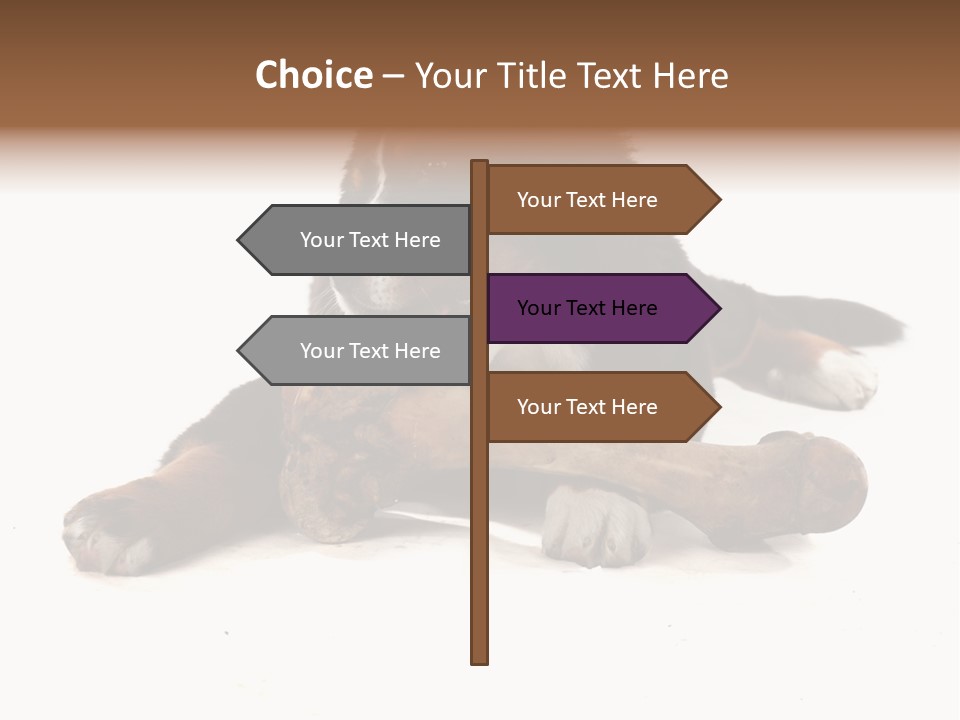 Space Purebred Mammal PowerPoint Template