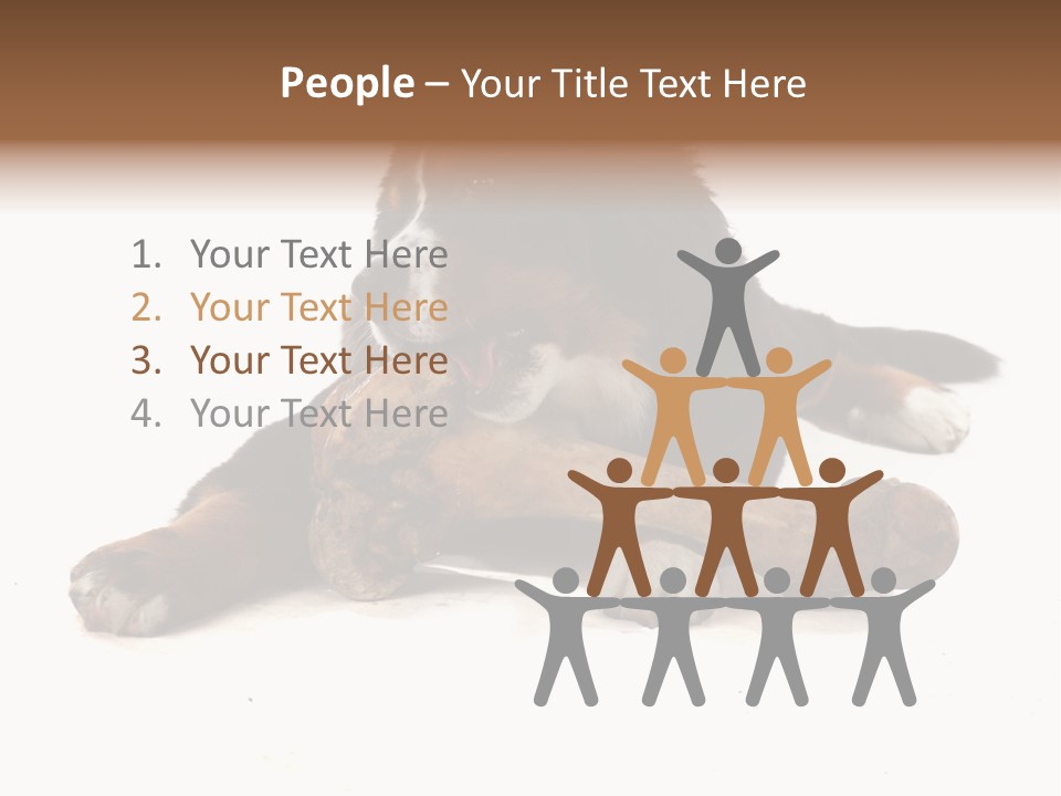 Space Purebred Mammal PowerPoint Template