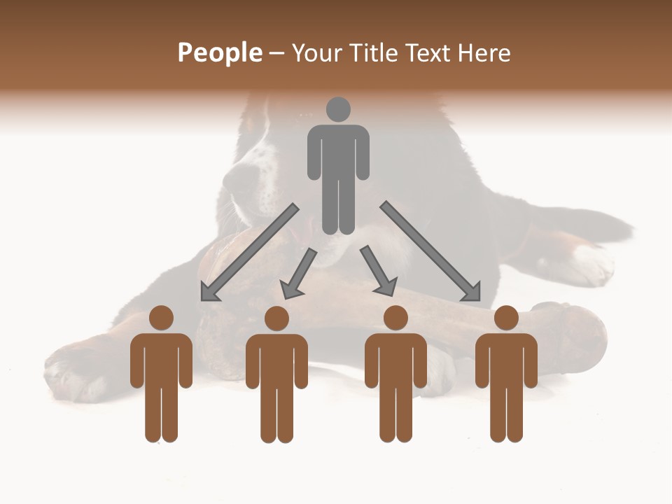 Space Purebred Mammal PowerPoint Template