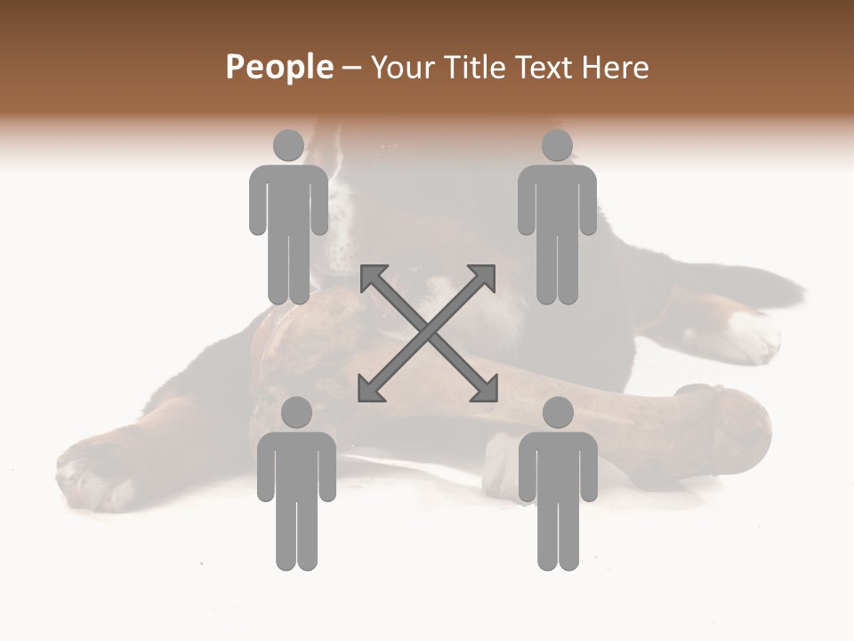 Space Purebred Mammal PowerPoint Template