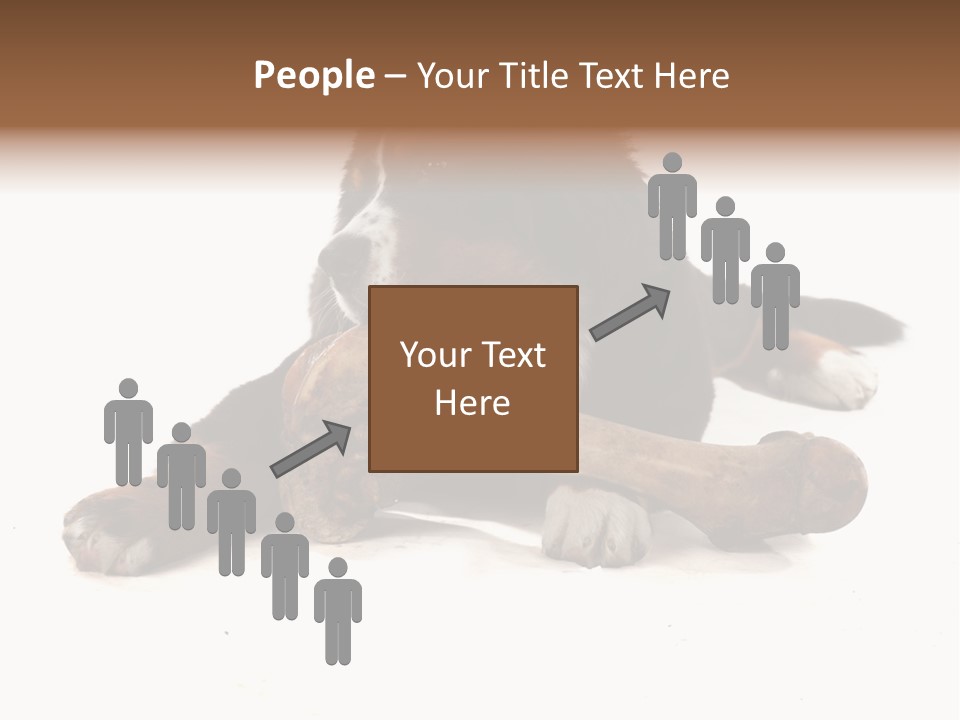 Space Purebred Mammal PowerPoint Template