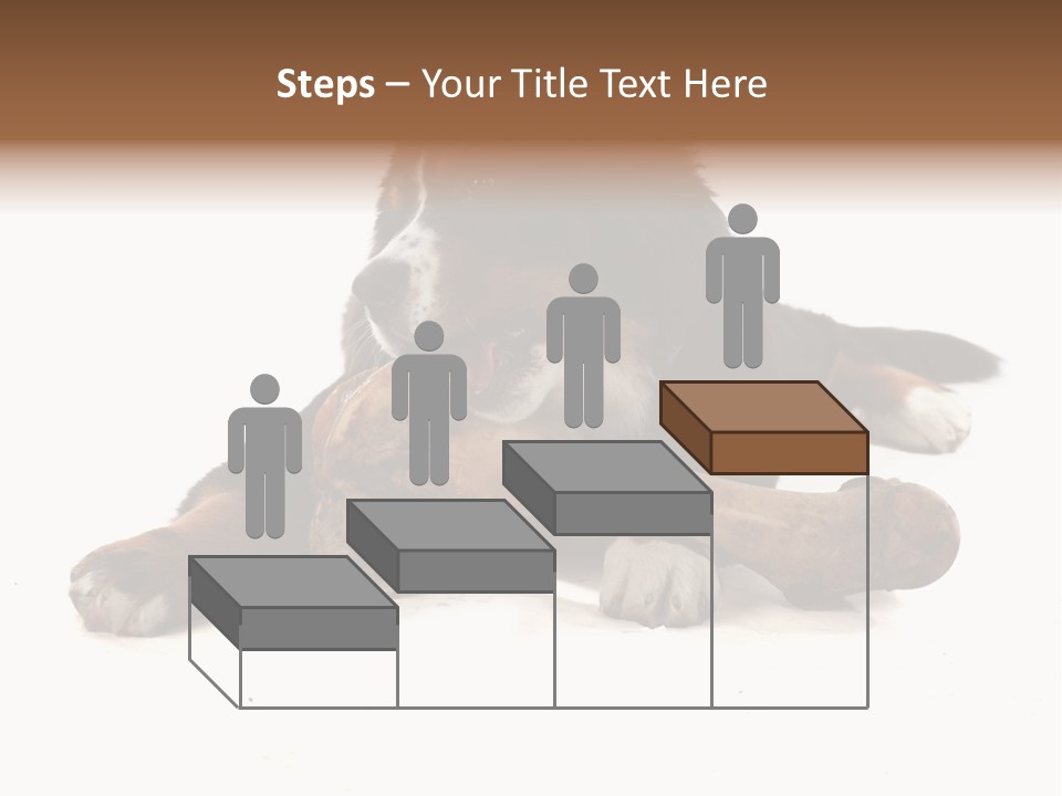 Space Purebred Mammal PowerPoint Template