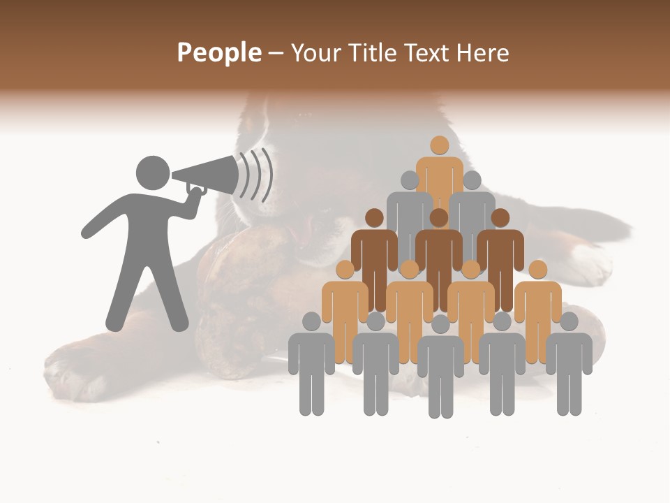 Space Purebred Mammal PowerPoint Template