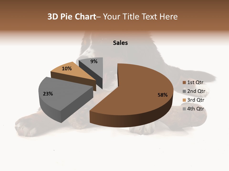 Space Purebred Mammal PowerPoint Template