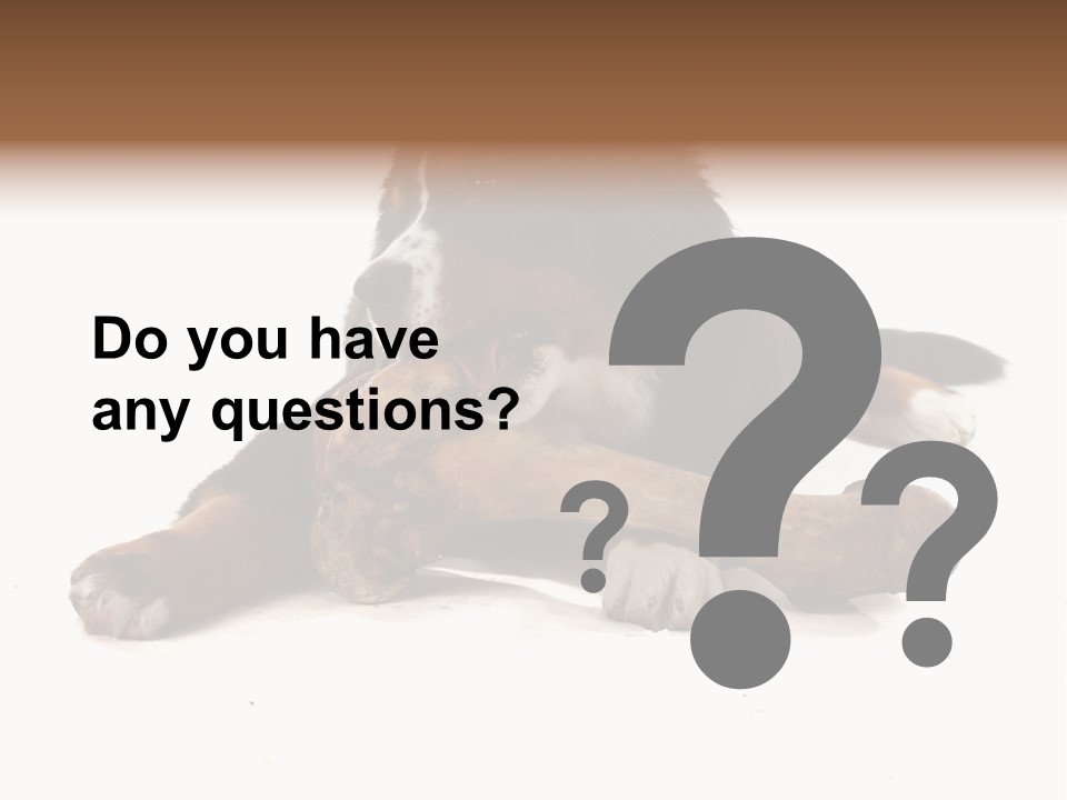 Space Purebred Mammal PowerPoint Template