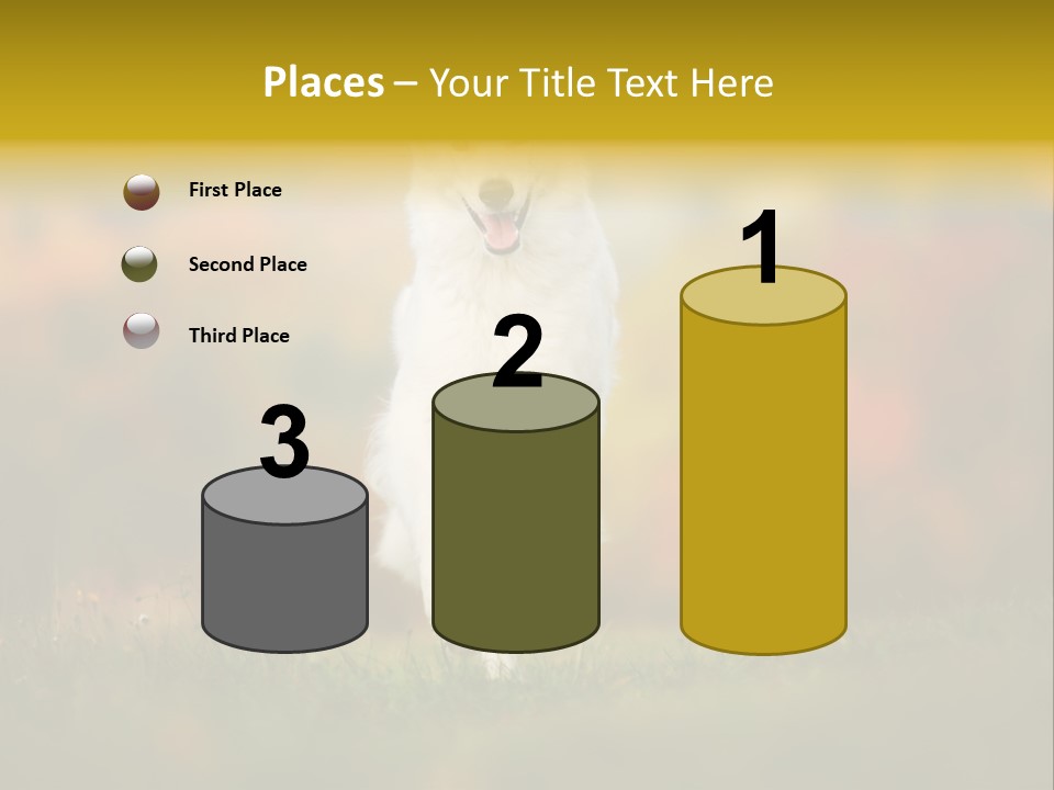 Race Swiss Head PowerPoint Template