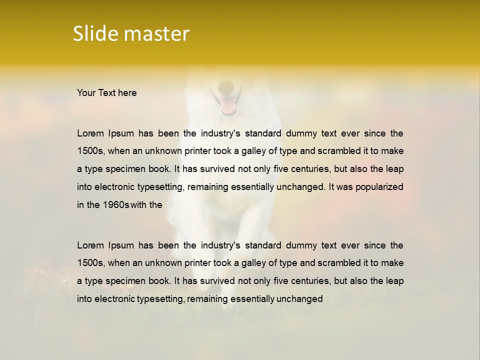 Race Swiss Head PowerPoint Template