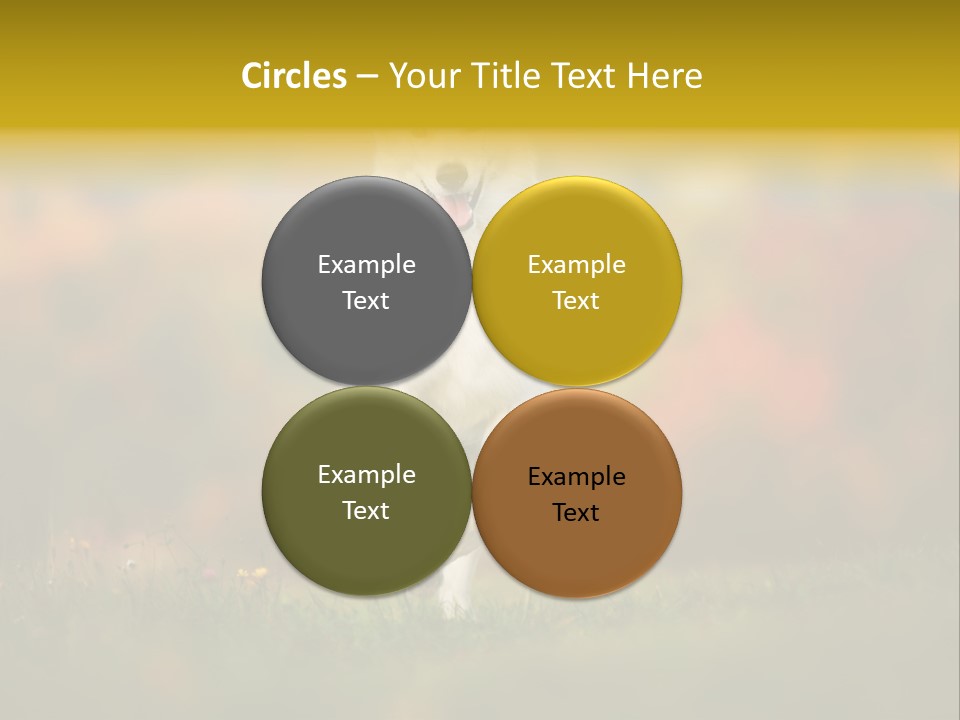 Race Swiss Head PowerPoint Template