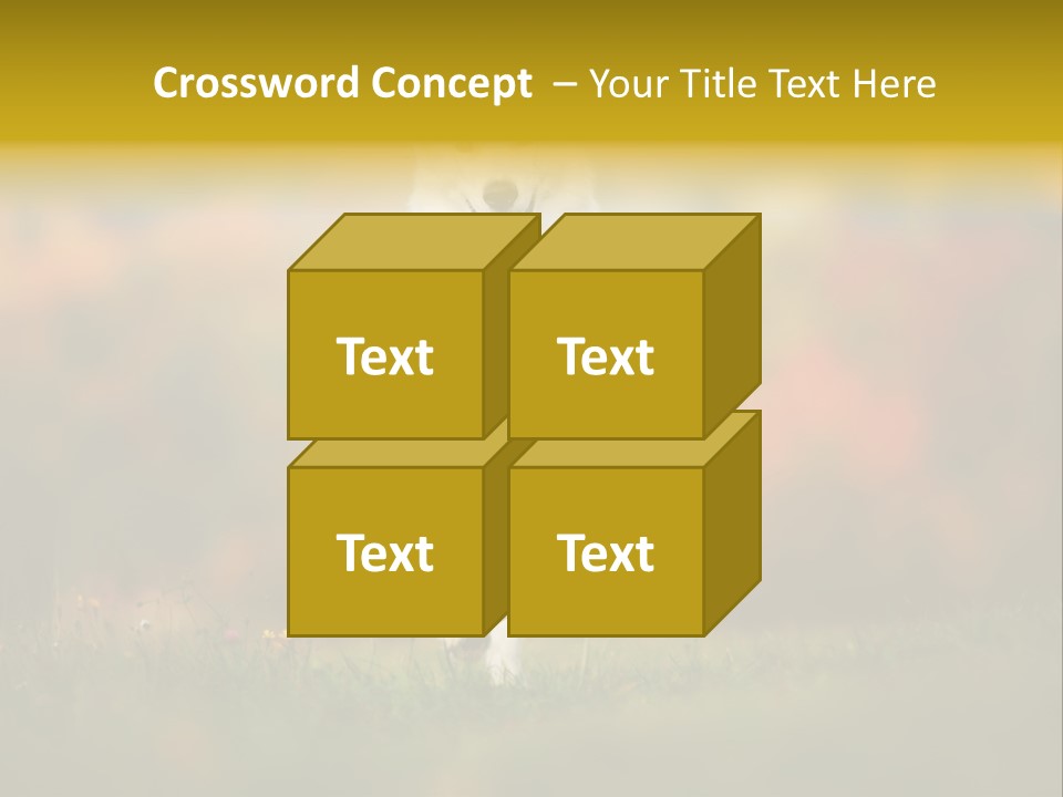 Race Swiss Head PowerPoint Template