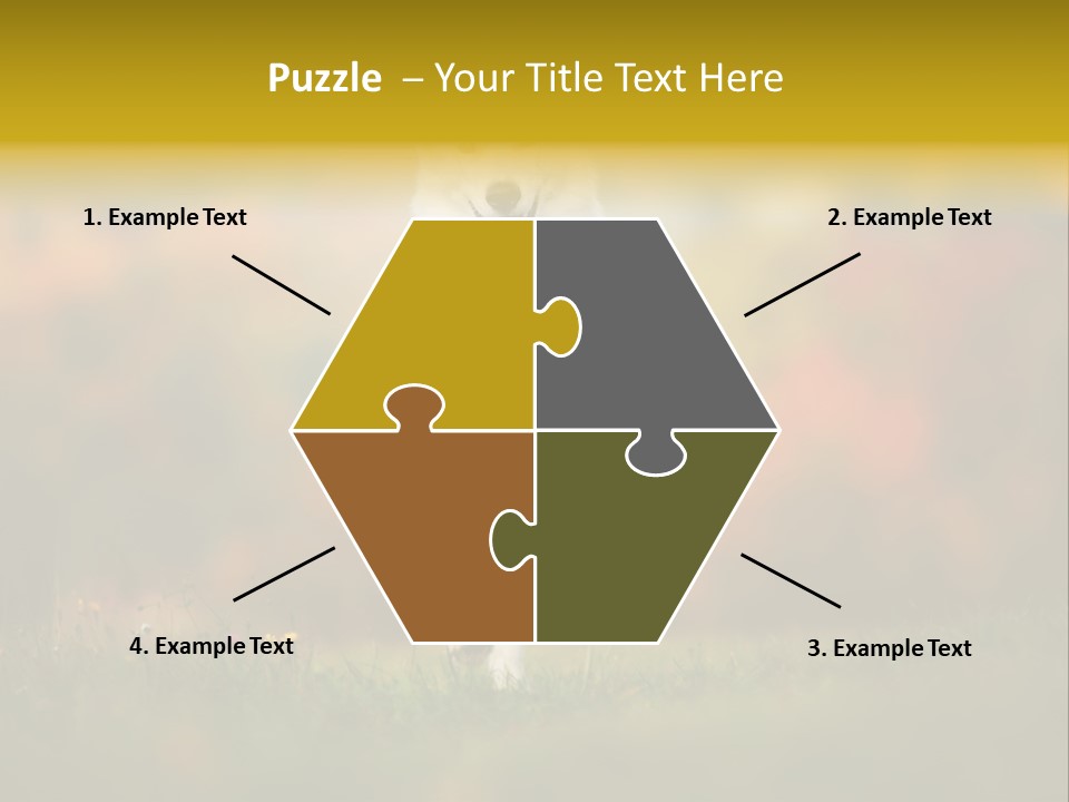 Race Swiss Head PowerPoint Template