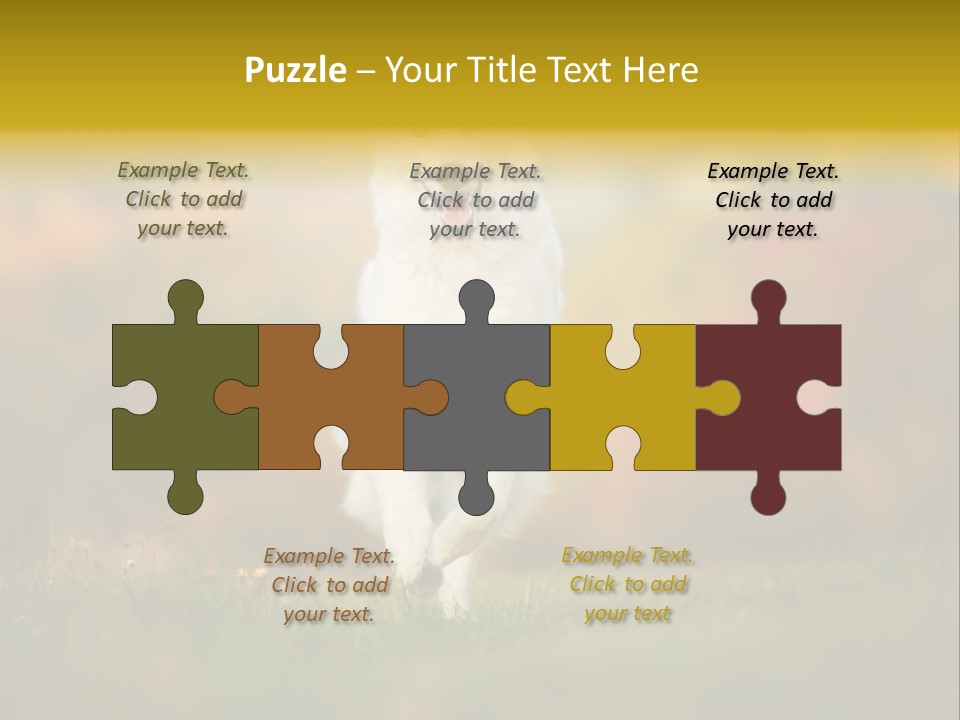 Race Swiss Head PowerPoint Template