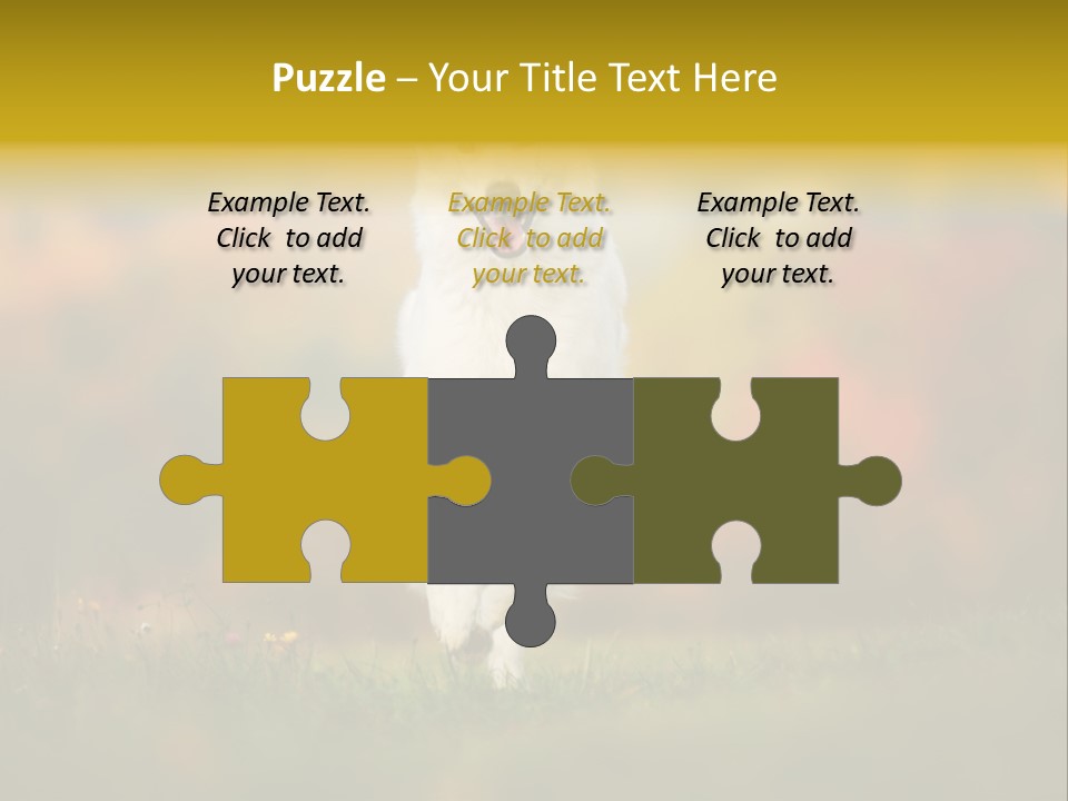 Race Swiss Head PowerPoint Template