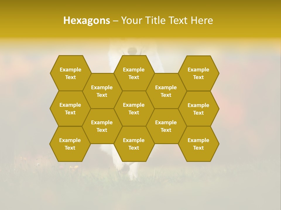 Race Swiss Head PowerPoint Template