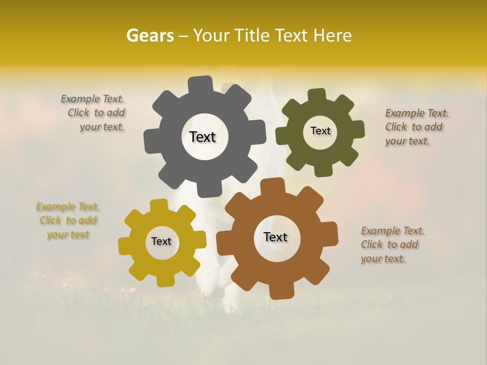 Race Swiss Head PowerPoint Template