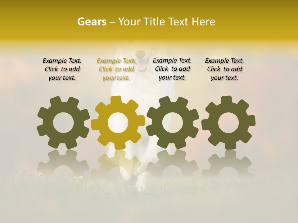 Race Swiss Head PowerPoint Template