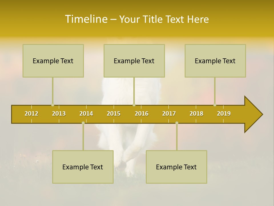 Race Swiss Head PowerPoint Template