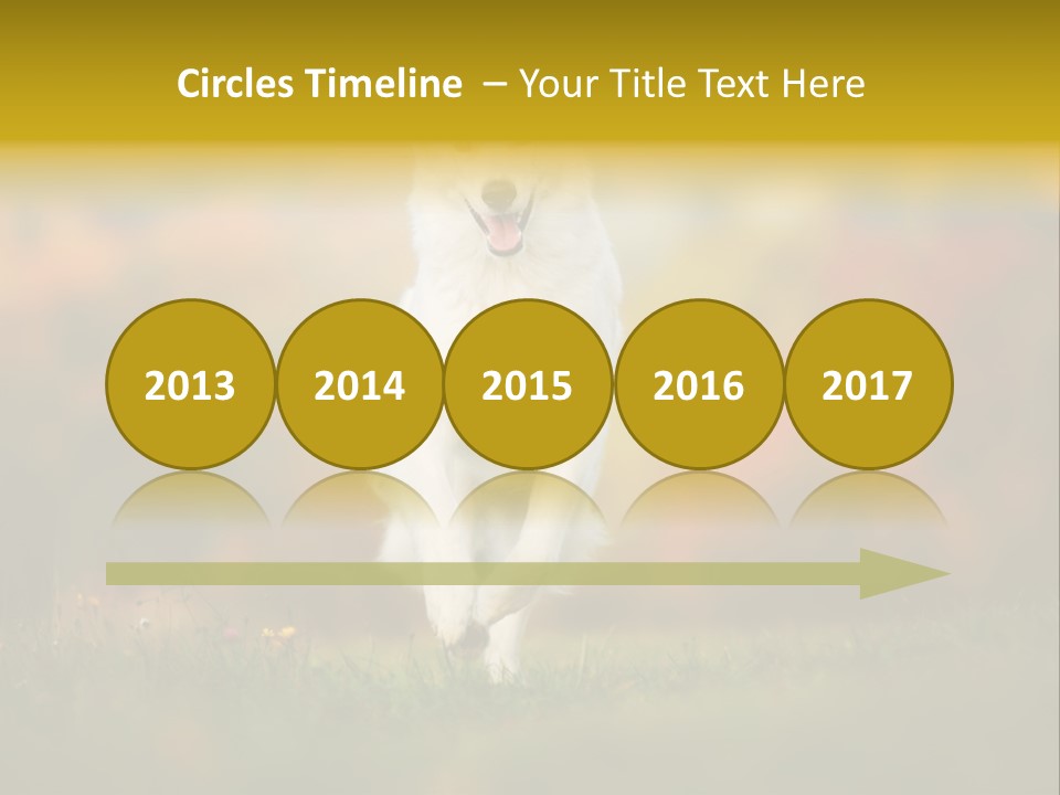 Race Swiss Head PowerPoint Template