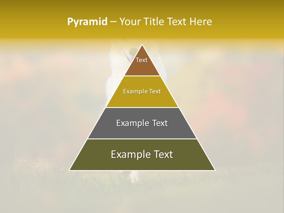 Race Swiss Head PowerPoint Template