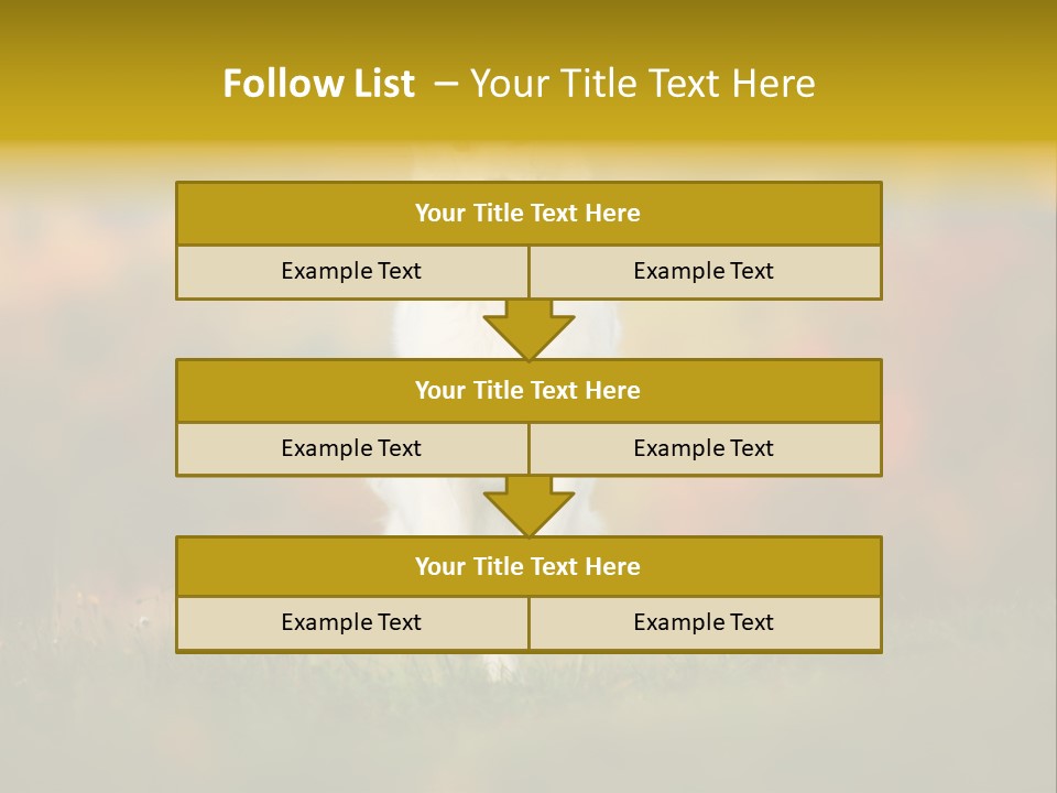 Race Swiss Head PowerPoint Template