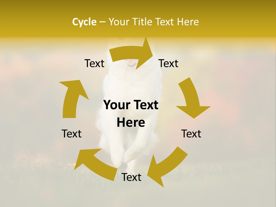 Race Swiss Head PowerPoint Template