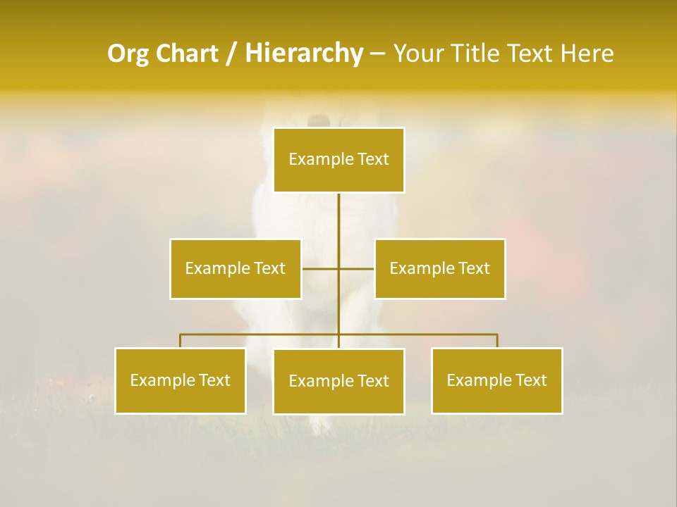 Race Swiss Head PowerPoint Template