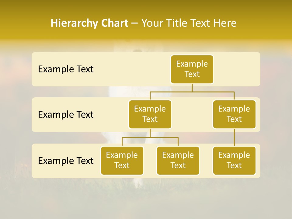 Race Swiss Head PowerPoint Template