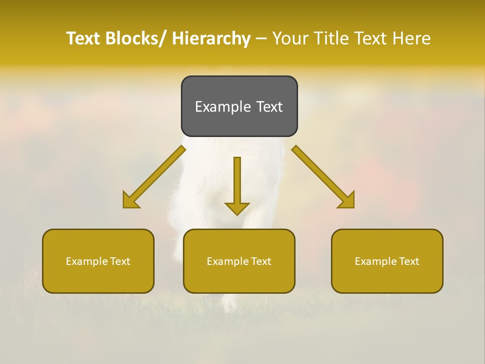Race Swiss Head PowerPoint Template